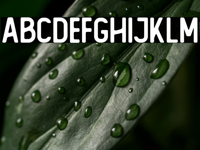 The Foregen Regular Example 3