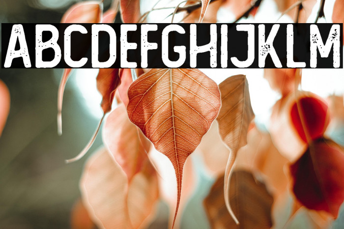 The Foregen Rough One  Example 1