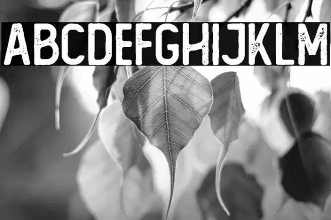 The Foregen Rough One  Font examples