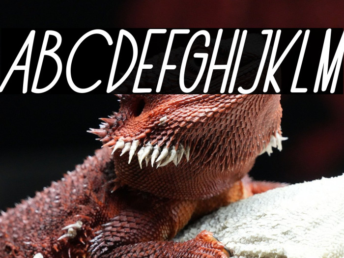 The Fox Office Italic Example 1