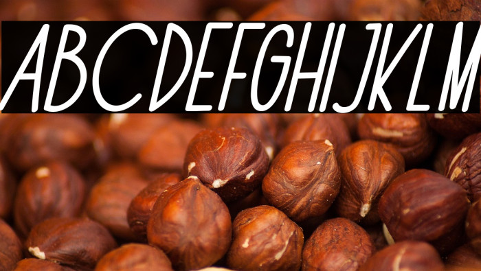 The Fox Office Italic Example 3