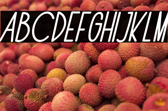 The Fox Office Italic Example 1