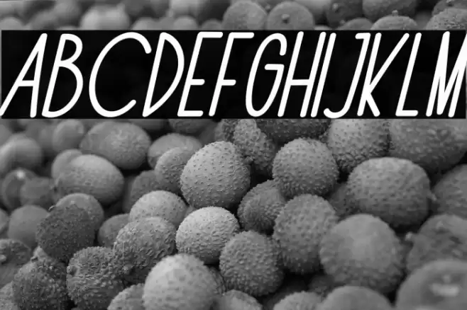 The Fox Office Italic Font examples