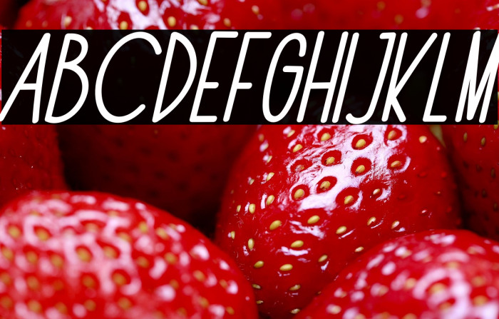 The Fox Office Italic Example 2