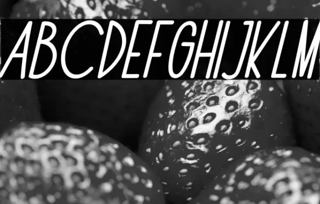 The Fox Office Italic Font examples