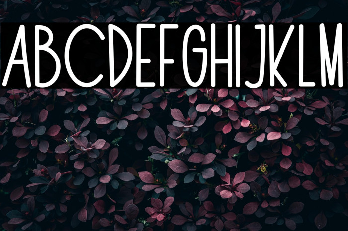 The Fox Office Example 1