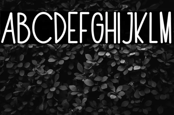 The Fox Office Font examples