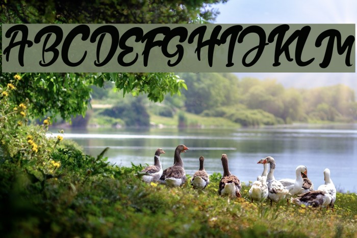 The Fox Tail Regular Font examples
