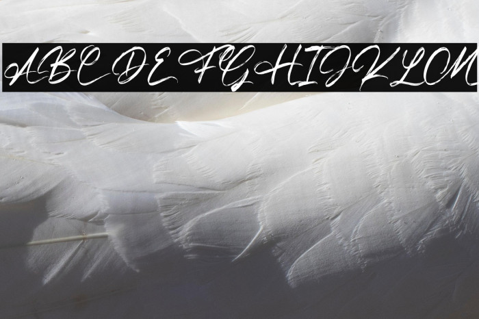 The Frankline Regular Example 3