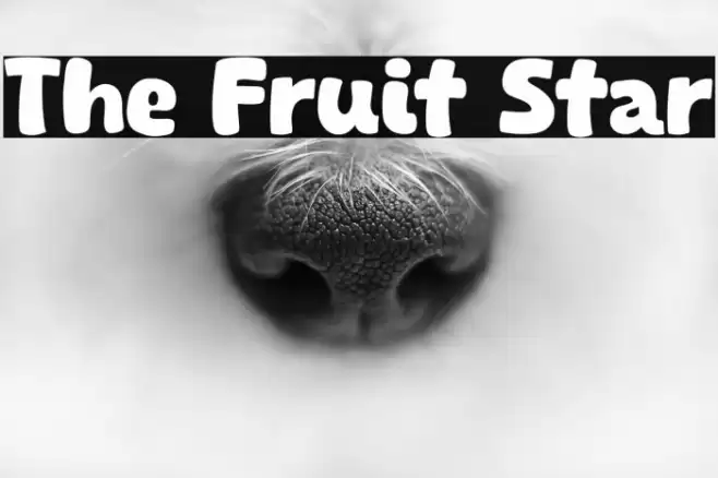 The Fruit Star Font examples