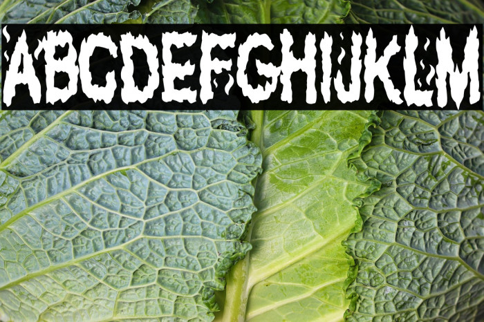 The Fuego Team Example 3