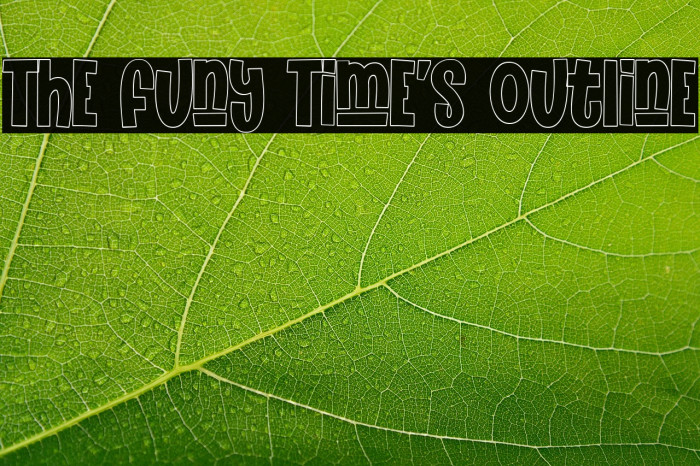 The Funy Time's Outline Example 1