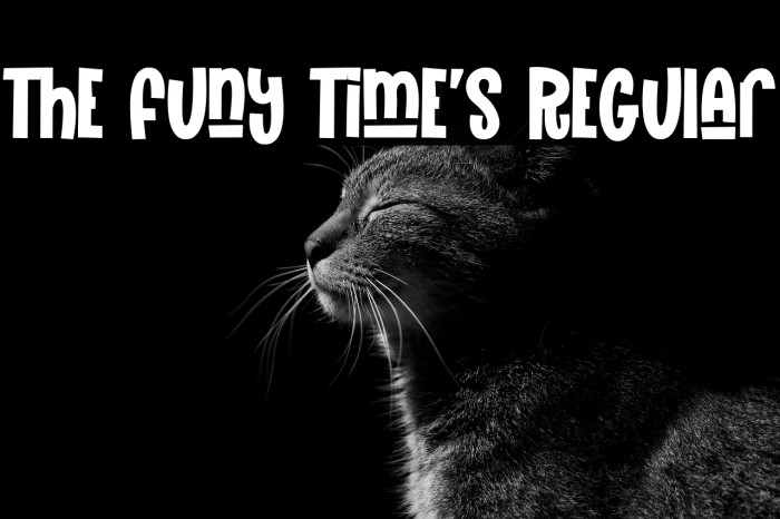 The Funy Time's Regular Example 2