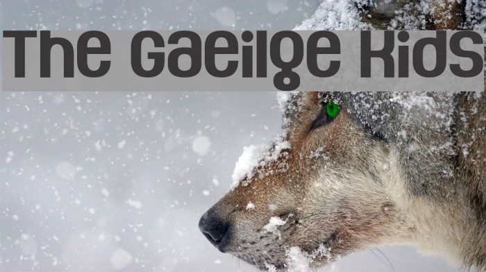 The Gaeilge Kids Caratteri examples