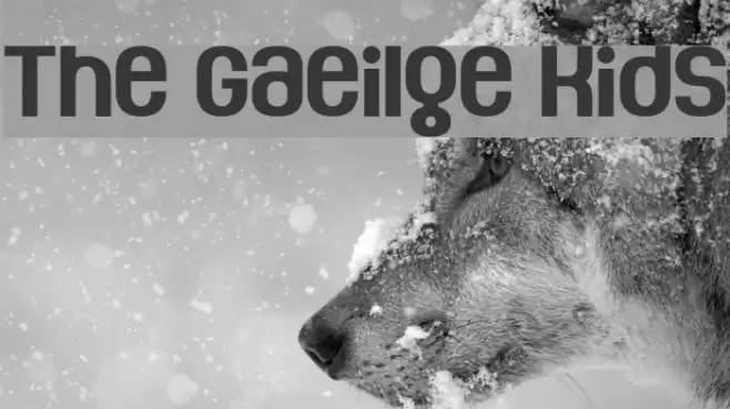 The Gaeilge Kids Font examples