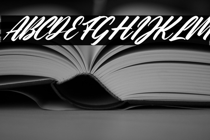 The Galaxy Italic Example 3