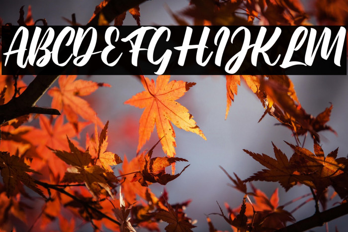 The Galaxy Example 2