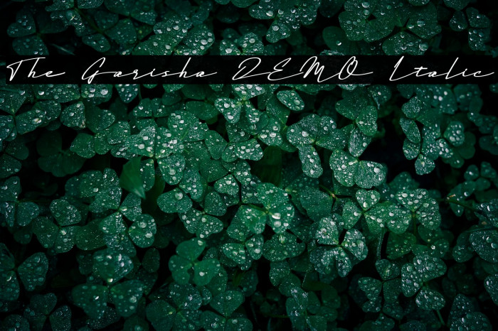 The Garisha DEMO Italic Example 2