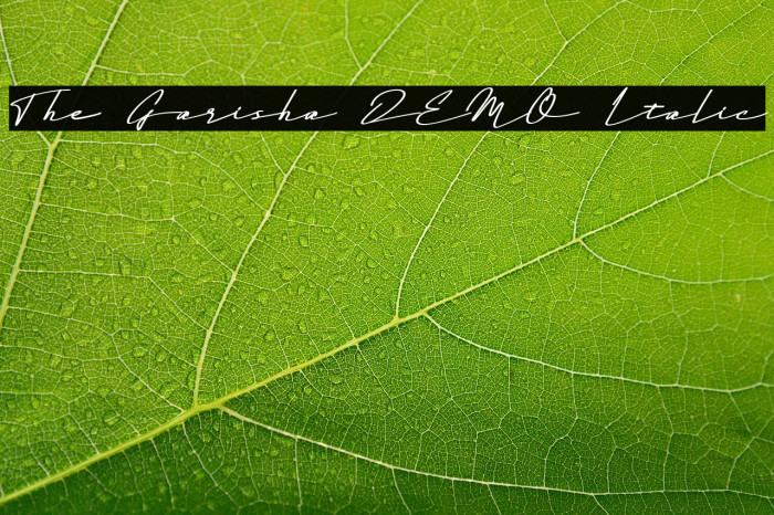 The Garisha DEMO Italic Example 3