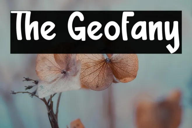 The Geofany Example 2