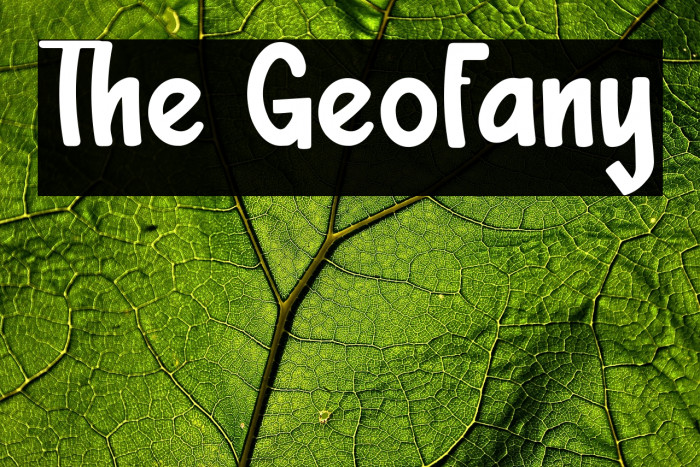 The Geofany Example 3