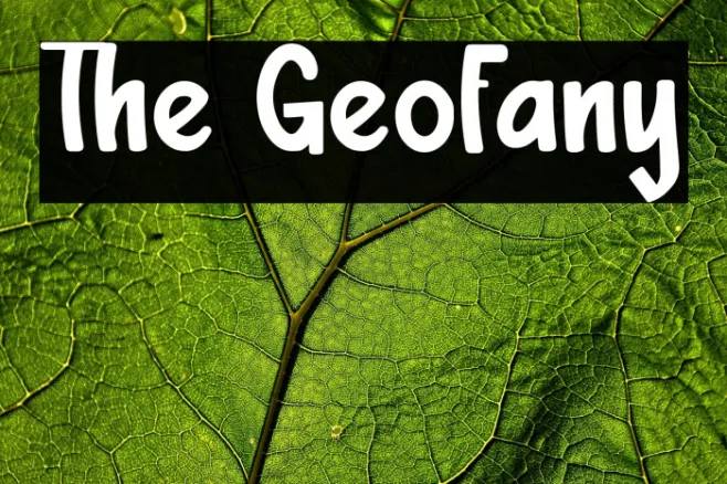 The Geofany Example 3