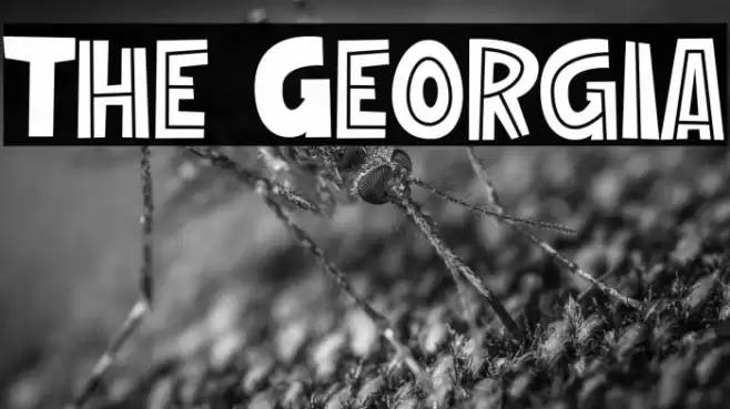 The Georgia Font examples
