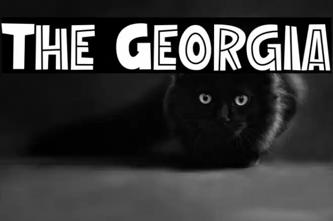 The Georgia Font examples