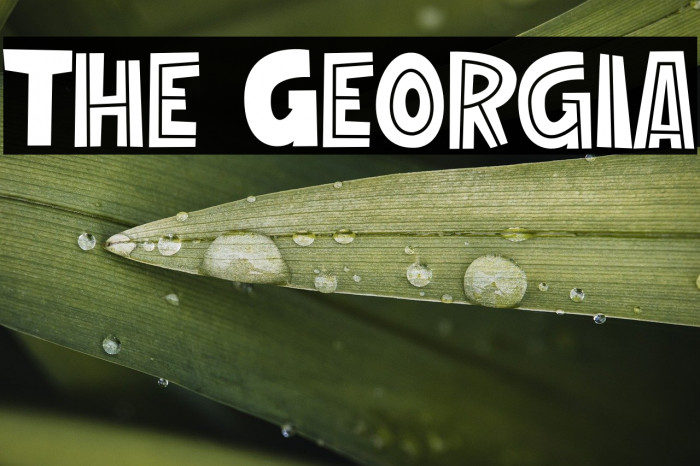 The Georgia Example 3