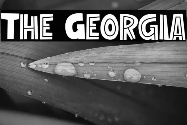 The Georgia Font examples