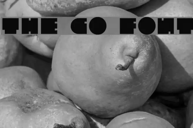 The Go Font Font examples