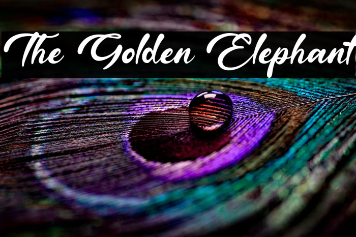 The Golden Elephant Example 1