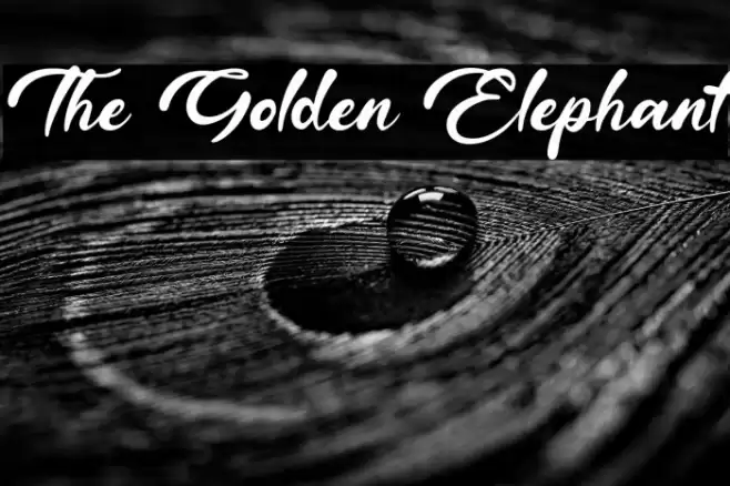 The Golden Elephant Font examples