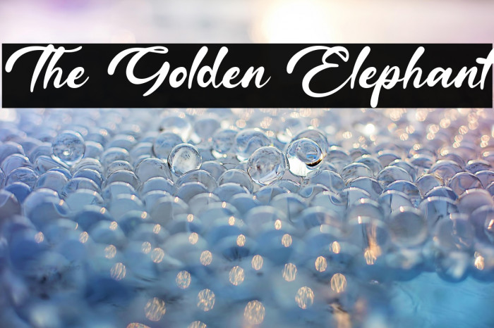 The Golden Elephant Example 2