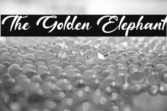 The Golden Elephant Font examples