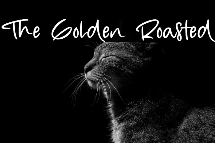 The Golden Roasted Example 1