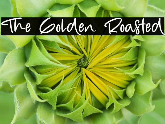 The Golden Roasted Example 3