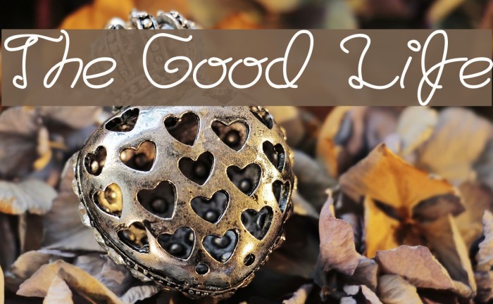 The Good Life Font examples