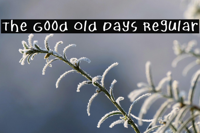 The Good Old Days Regular Example 1