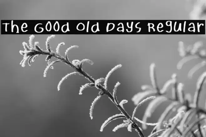 The Good Old Days Regular Шрифта examples