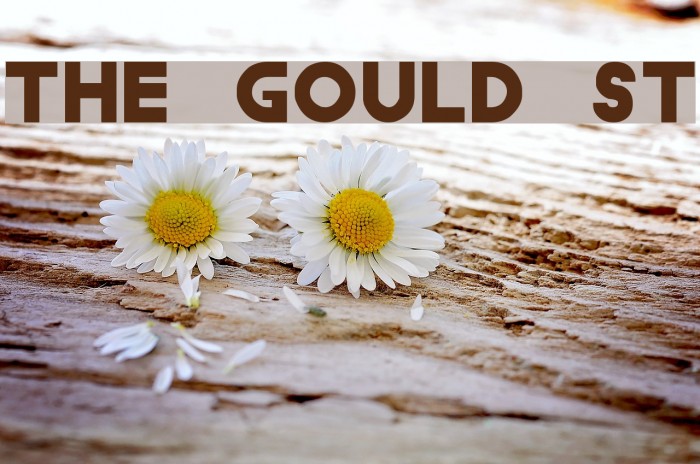 The Gould St Font examples