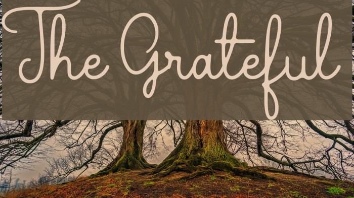 The Grateful 2 Font examples