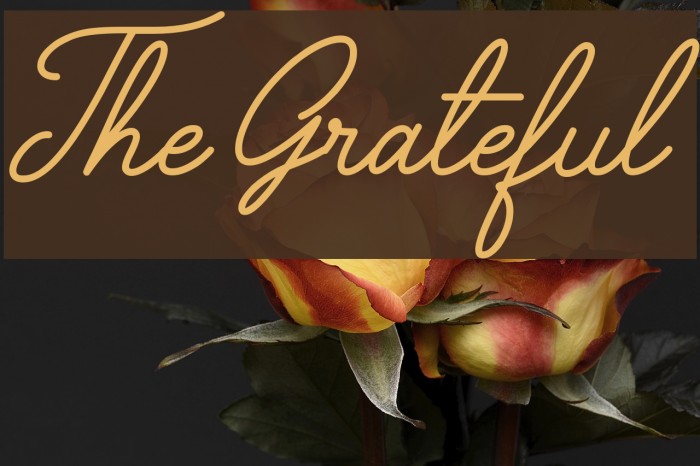 The Grateful 3 Font examples