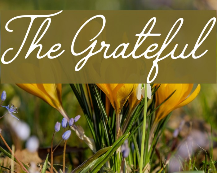 The Grateful 4 Font examples