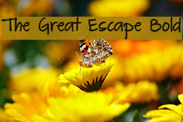 The Great Escape Bold Font examples
