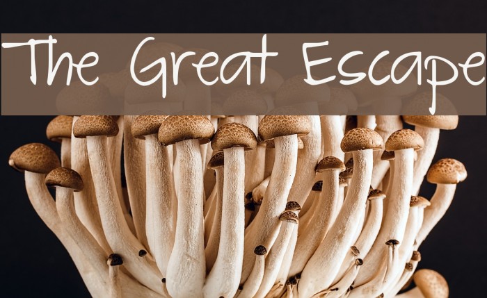 The Great Escape Font examples