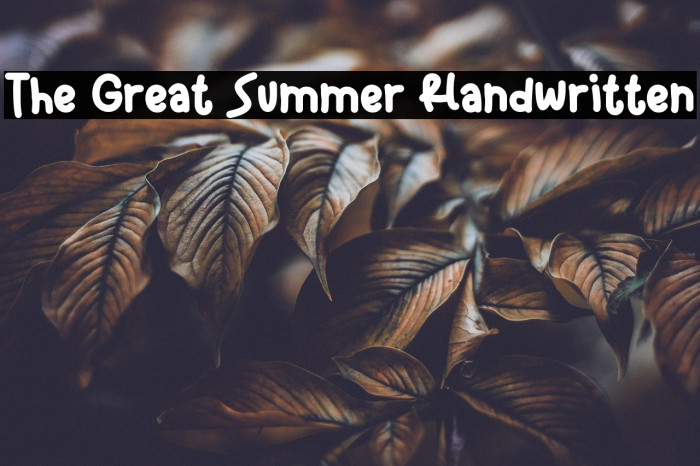 The Great Summer Handwritten Example 2
