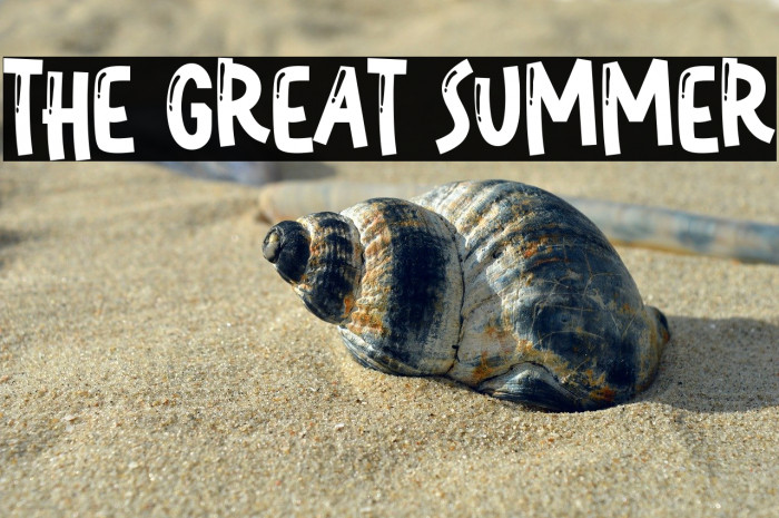 The Great Summer Example 1