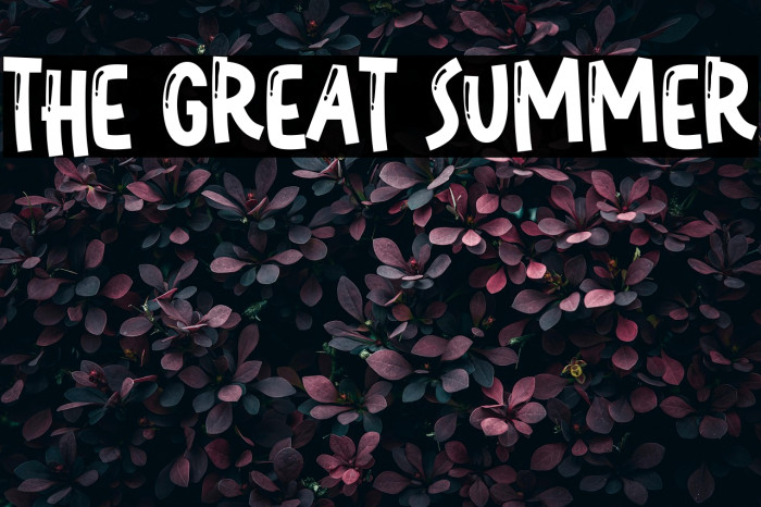 The Great Summer Example 2