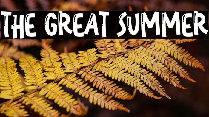 The Great Summer Example 3